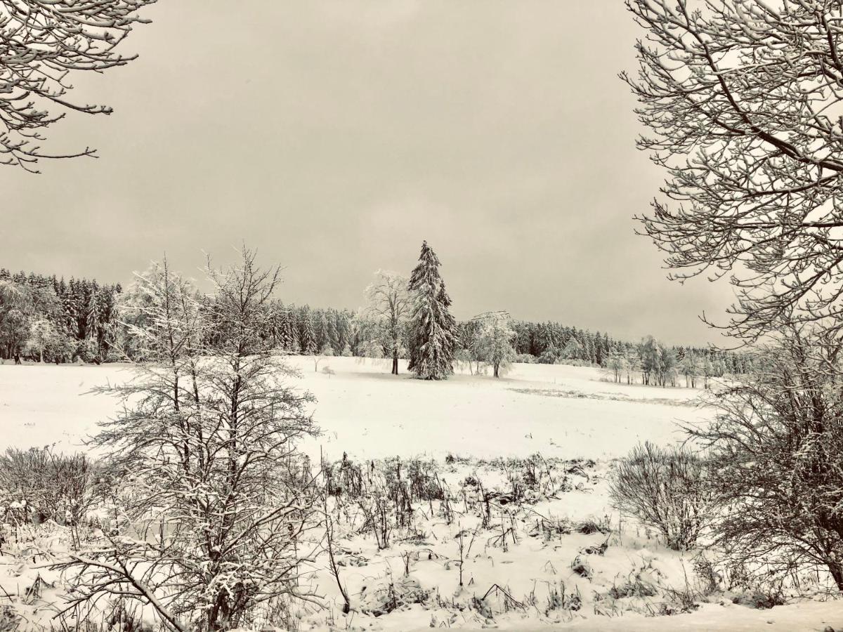 App 622 Panoramic Hohegeiss Mit Wlan Terrassenhaus Apartment Braunlage Luaran gambar