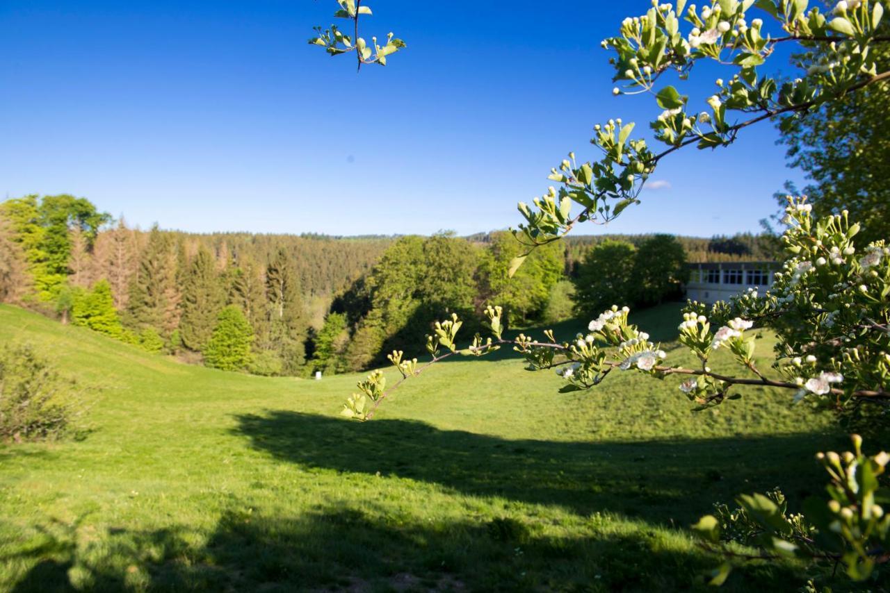App 622 Panoramic Hohegeiss Mit Wlan Terrassenhaus Apartment Braunlage Luaran gambar